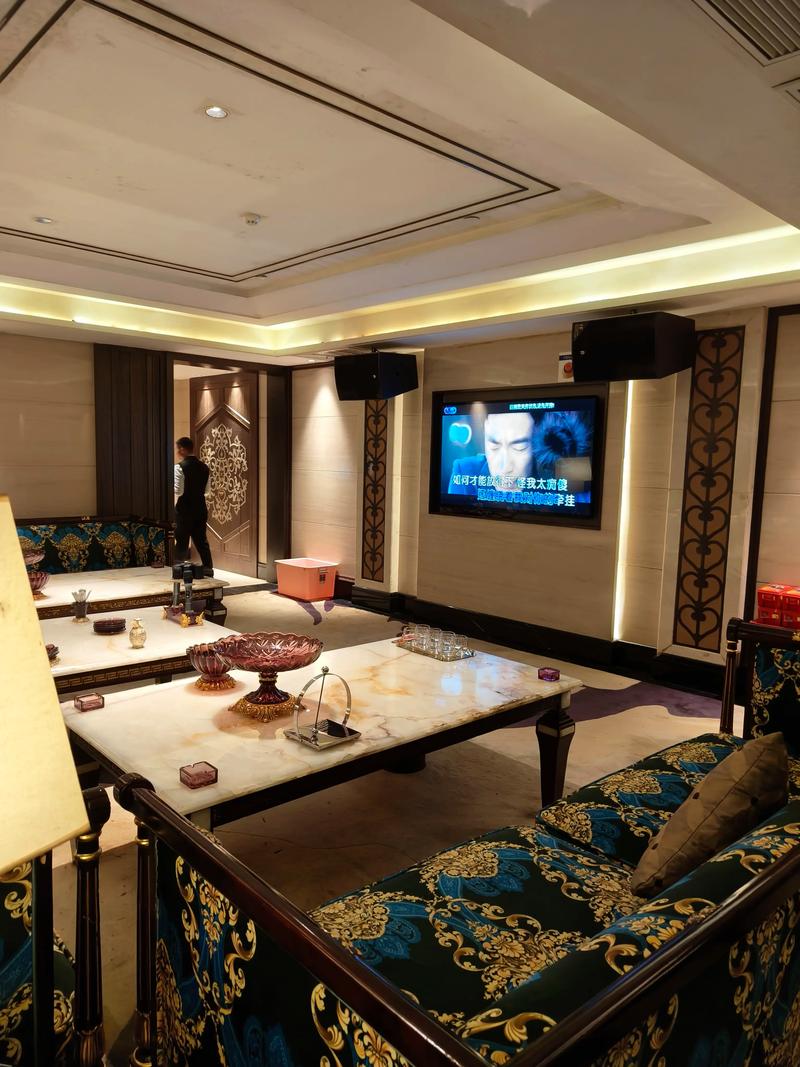 济宁商务ktv价格多少钱一个小时-微山县ktv预订